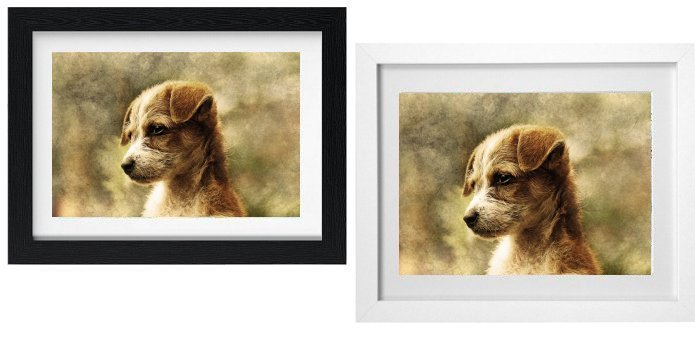 Select Your Frame